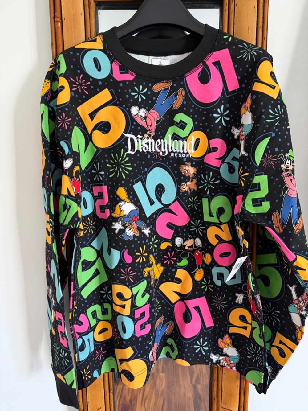 🏷️ New with tags Disneyland celebration embroidered sweatshirt black small